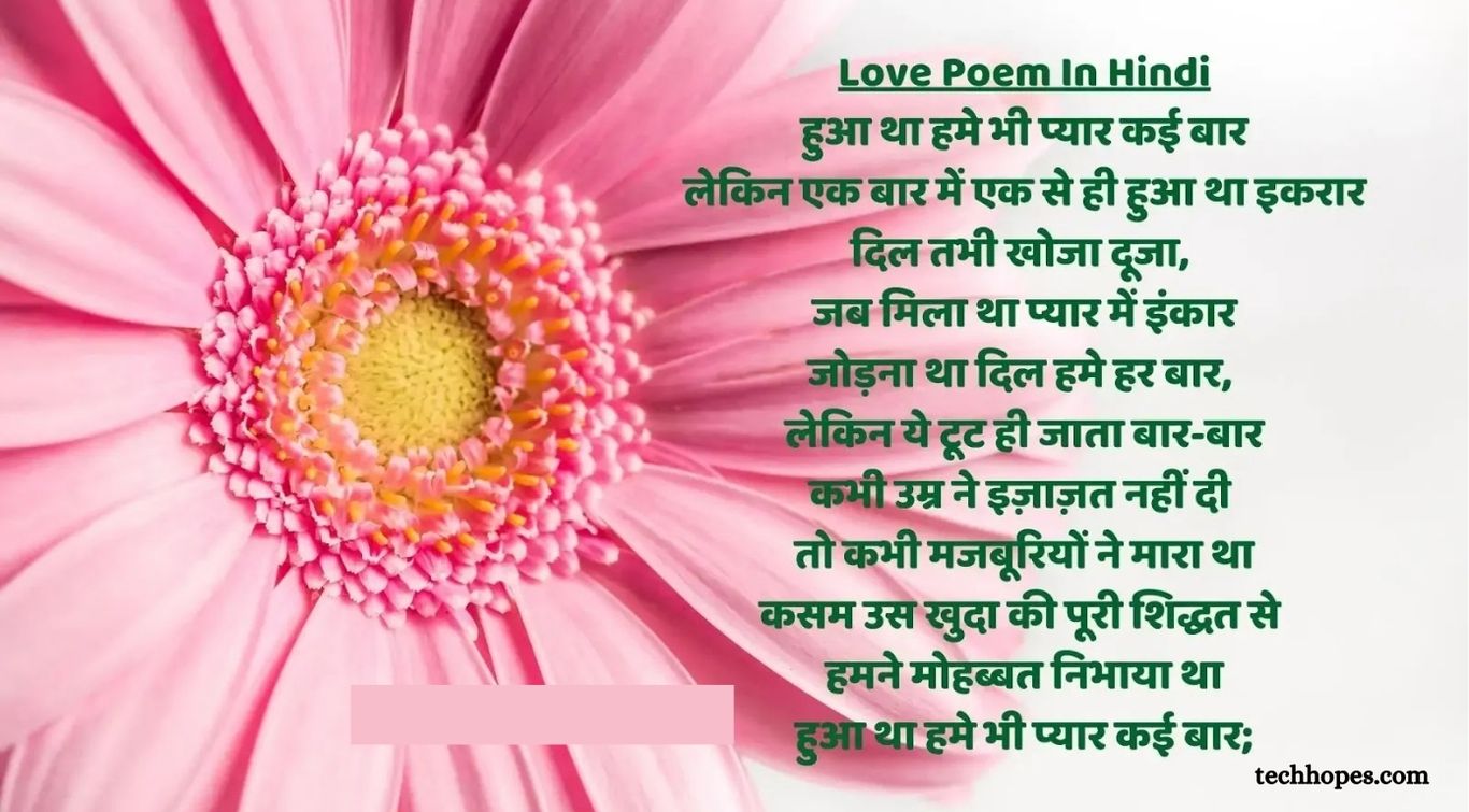 Love Poem in Hindi